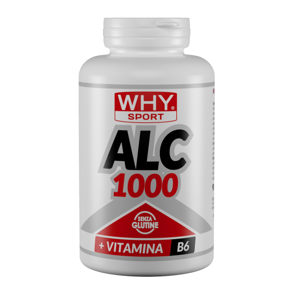 Alc1000 Acetil L Carnitina 60cp Whysport